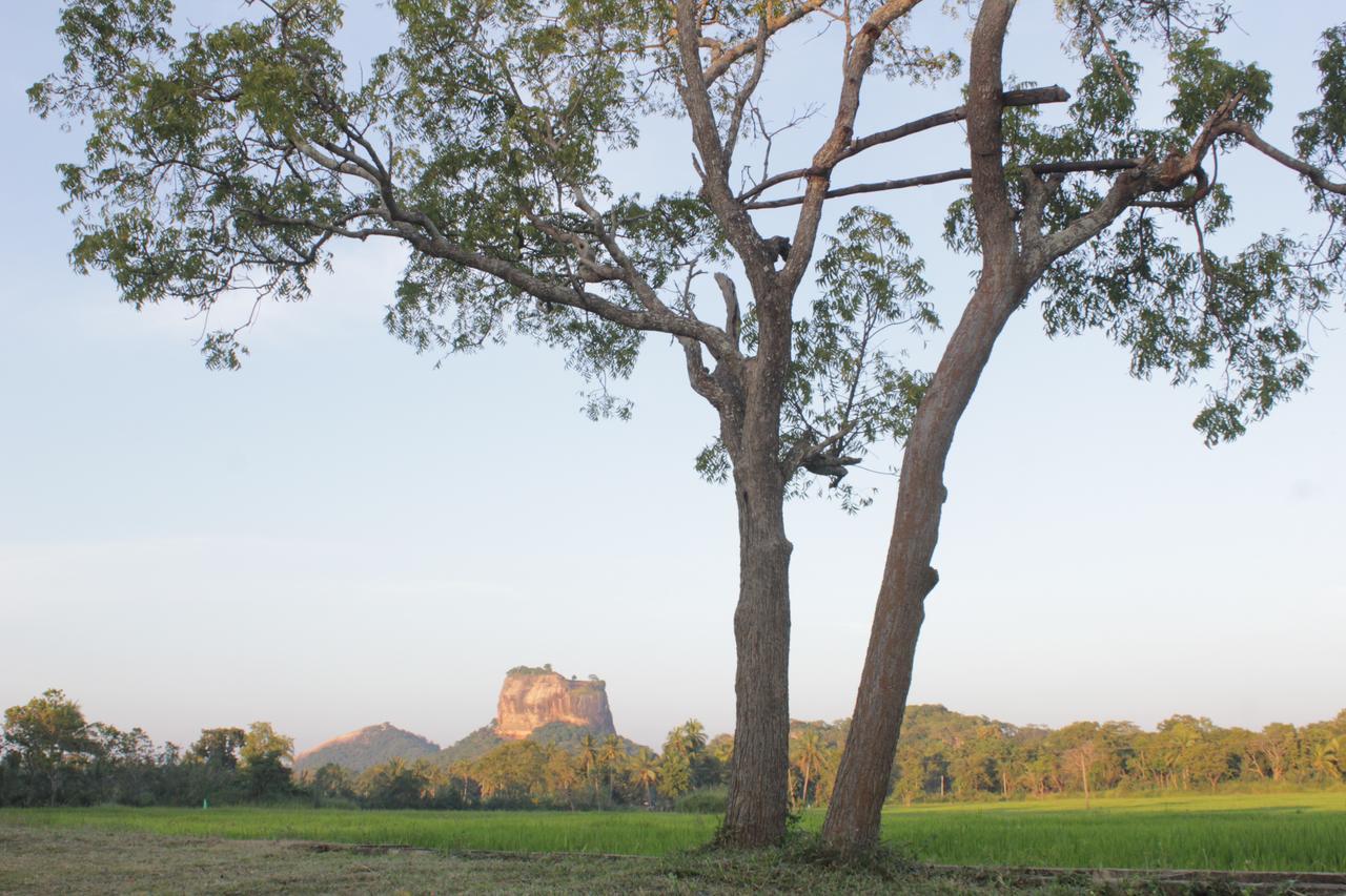 Sigiriya Water Guest & View Point Restaurant Hotel Exterior photo